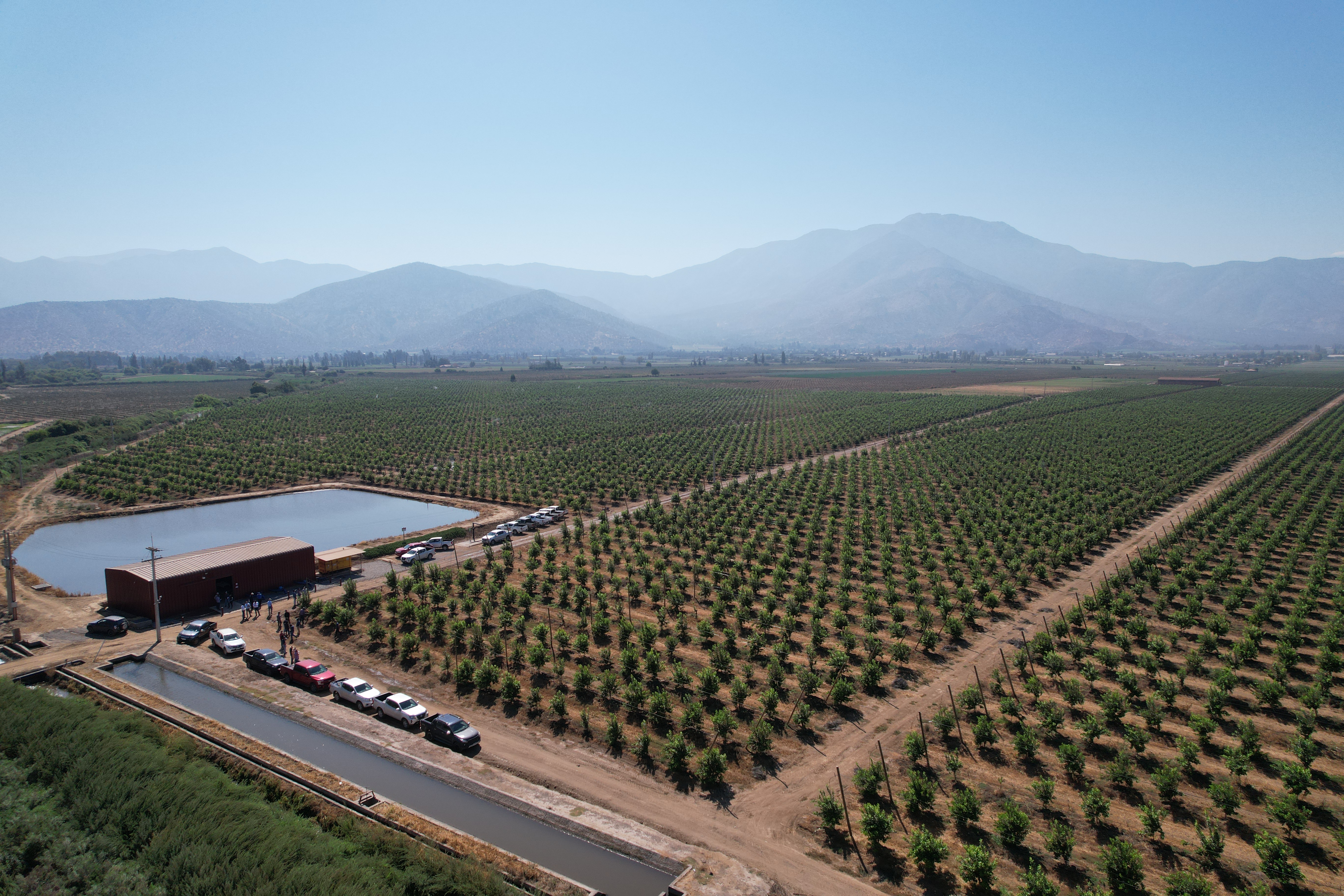 Plantación de Limones y Naranjos con sistema de mitigación de heladas en María Pinto — diseño SCF Agroingeniería