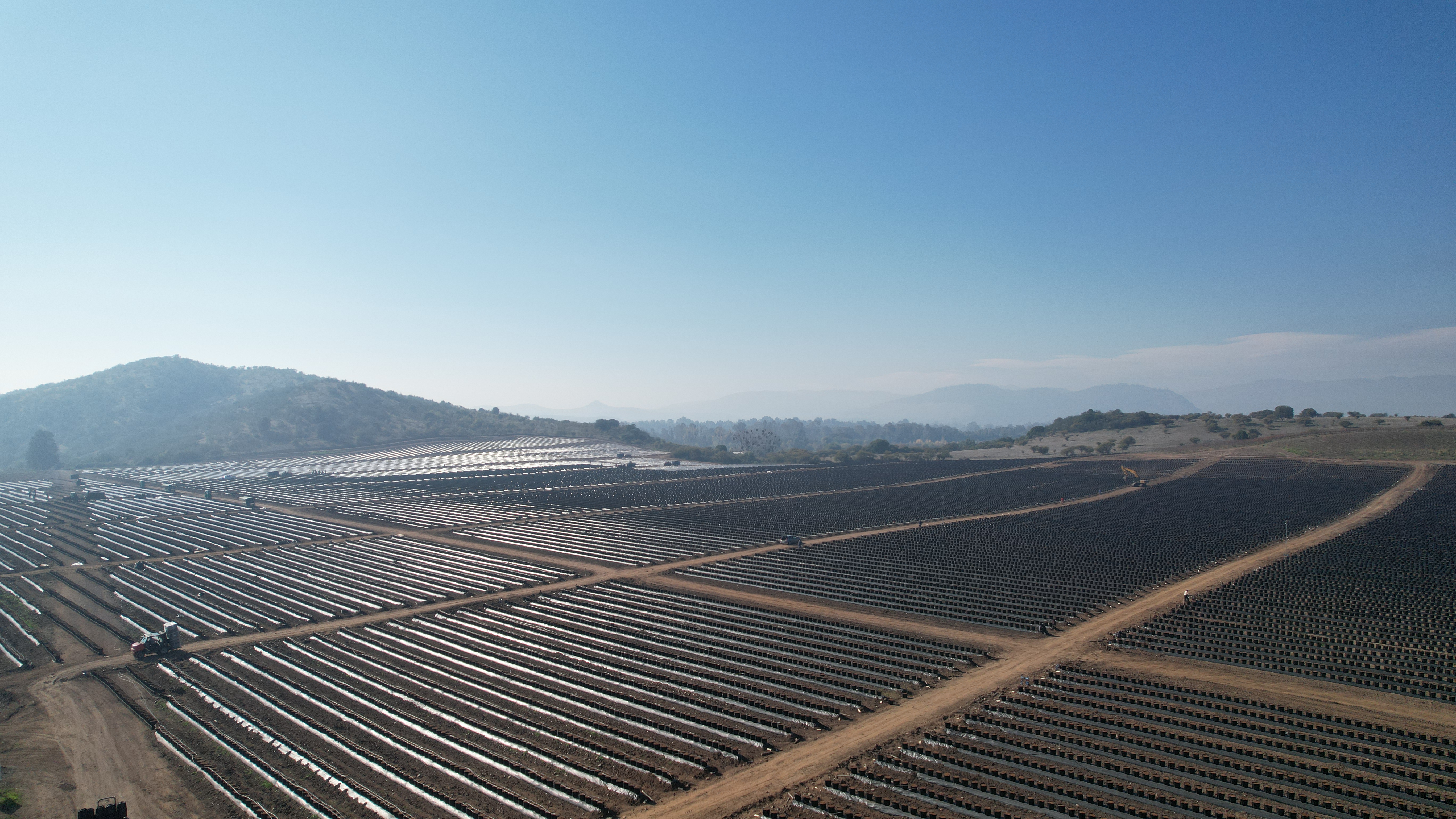 Proyecto de Arándanos en maceta en San Javier, Maule — diseño de riego en sustrato SCF Agroingeniería