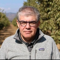 Sergio Villagrán Varela